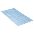 ALFOMBRA BAÑO ANTIDESLIZANTE CON VENTOSAS BCN 36 X 70 CM AGUA